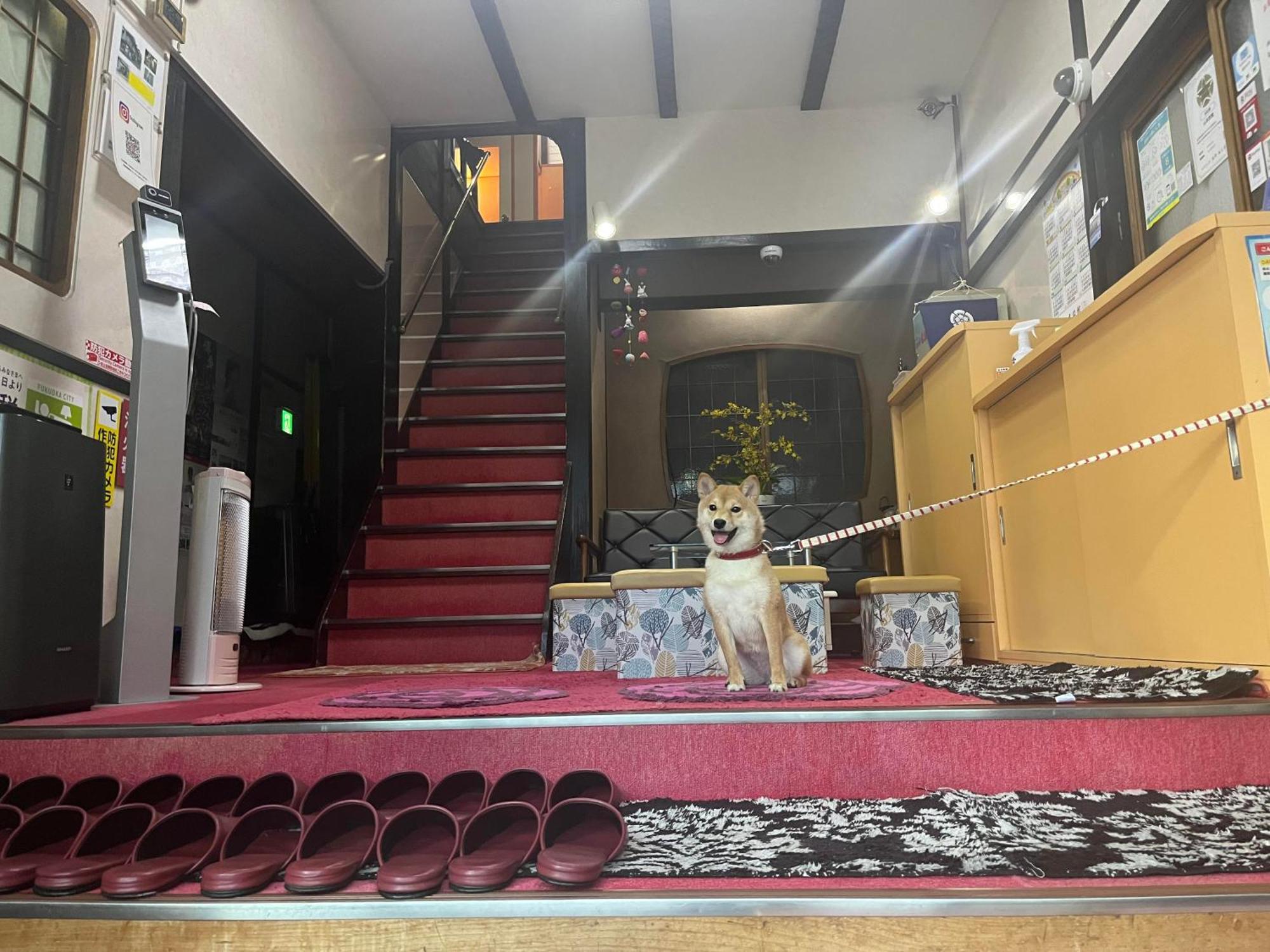 Yamamoto Ryokan Фукуока Экстерьер фото
